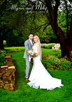 170714sm Allyson Sergi and Mike Mantia wedding