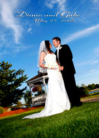 080525cs Dianne Cassidy and Gabe Swire Wedding